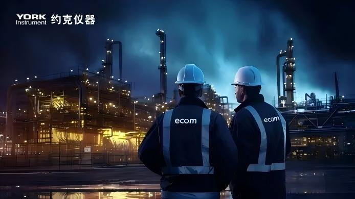 精准测量，捕捉无形踪迹，革新便携式烟气检测体验——ecom烟气分析仪